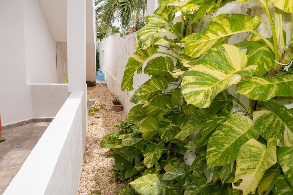 Villa Caribe Bayahibe Eksteriør bilde