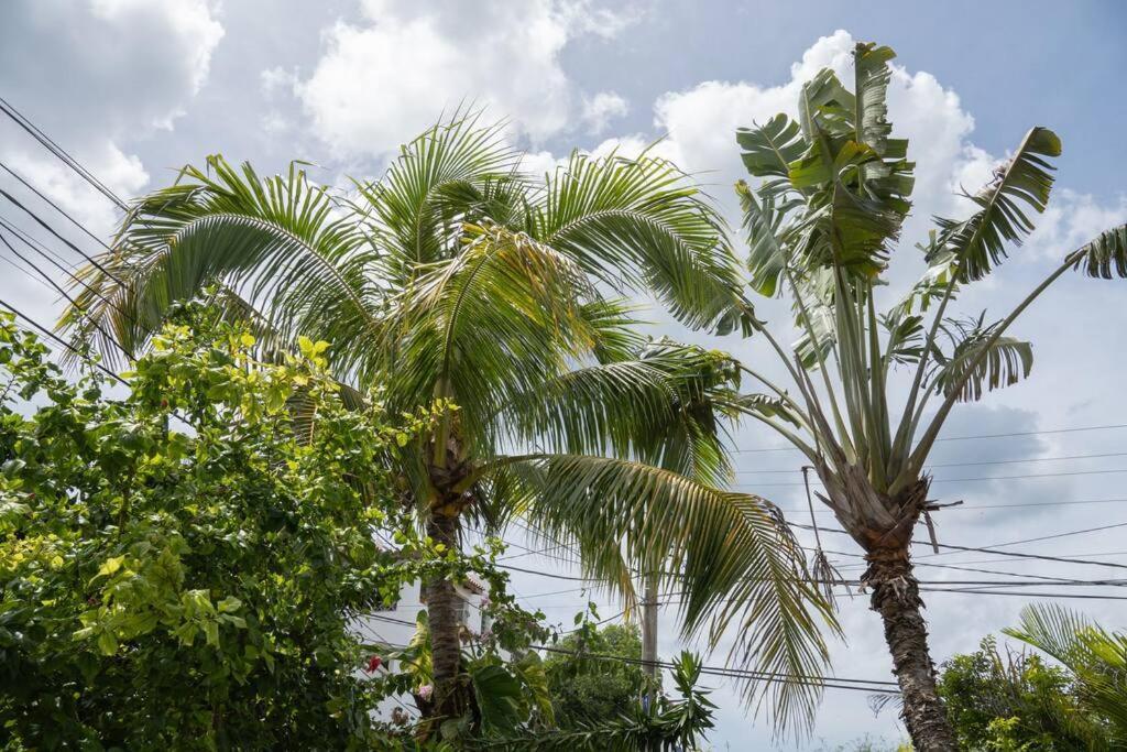 Villa Caribe Bayahibe Eksteriør bilde