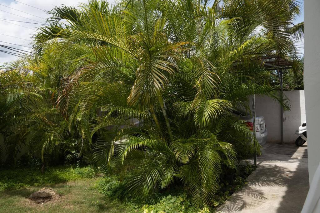 Villa Caribe Bayahibe Eksteriør bilde
